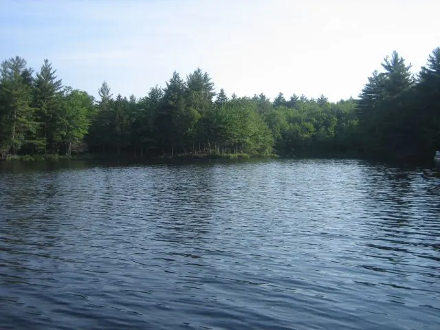 Lake Watatic with pines along the far shore